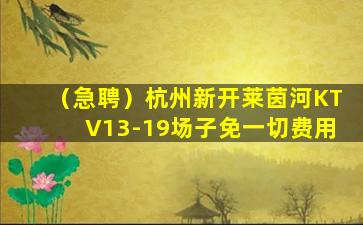 朝阳酒吧招聘